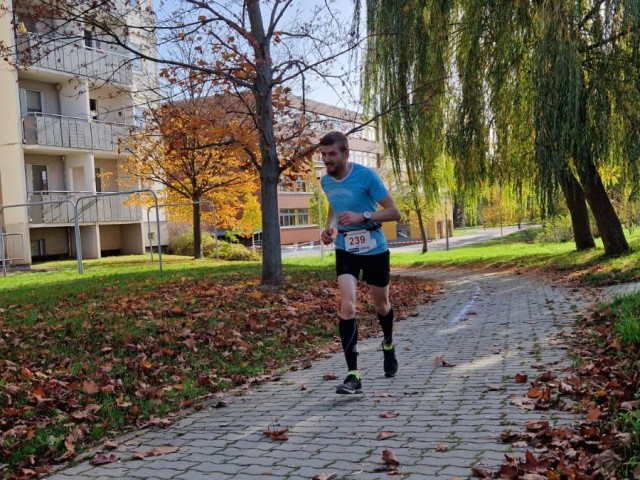 35. Glauchauer Herbstlauf